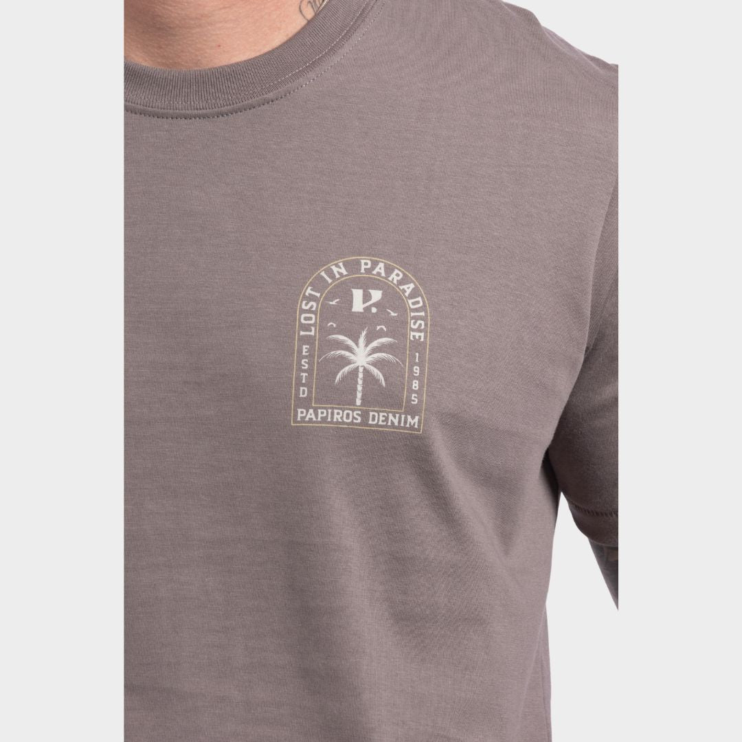 222#Color_Plomo Gris