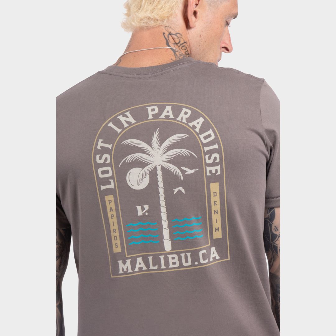 224#Color_Plomo Gris